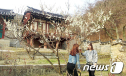 안동 도산서원, 참 알기 도우미 활동 시작