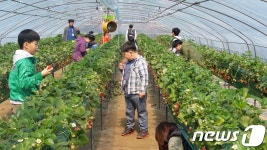 활기찬 새봄…가족·연인과 농촌으로 봄나들이 가자
