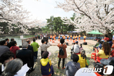 설악벚꽃축제