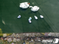 석촌호수에서 봄을 즐겨요