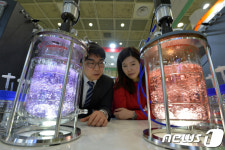 미생물 배양은 이렇게