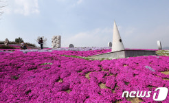 산청 생초국제조각공원,15일부터 꽃잔디 향연 