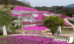산청 생초국제조각공원,15일부터 꽃잔디 향연 