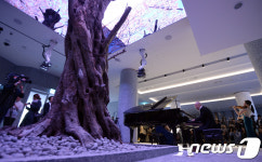 유키 구라모토, 800년 올리브 나무 앞에서 피아노 연주