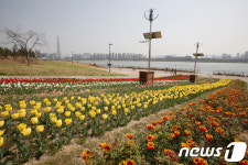 편백나무숲 걸으며 힐링하세요…한강공원 봄 새단장