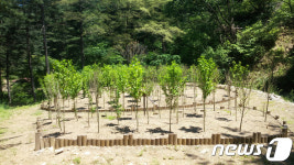 춘천국유림 무궁화동산 보완사업 착수