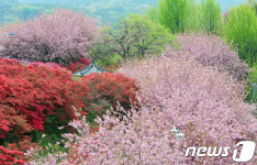 알록달록 색의 향연 펼쳐진 완산공원꽃동산