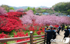[화보]분홍, 빨강, 녹색의 향연 전주 완산꽃동산