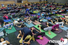 요가 홀릭