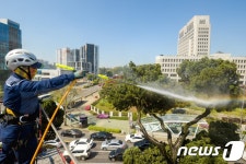 미세먼지 쌓인 천년향, 지금은 목욕중