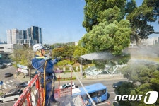 서초구, 천년향 목욕중