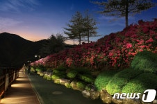 단양 명소에 야간 조명 확충…아름다운 밤 풍경 연출