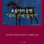 [올어바웃펫] 해피야, 우리 산책 갈까?