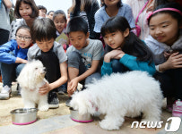 전국 최초 강아지 입학식