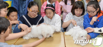 초등학교에서 함께 생활하게 된 반려동물