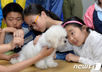 강아지 친구야 앞으로 잘 지내자