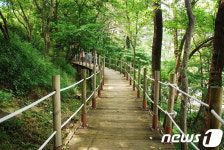 5월 걷기 좋은길…수타사 산소길부터 보문호반길까지