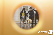 눈이 되어 주는 안내견
