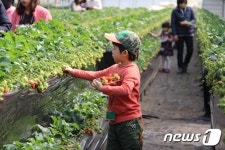 5월 황금연휴 아이에게 점수 따기 좋은 국내 여행지는?