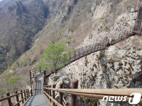 진안군, 운장산 등 등산로 42km 정비…20억 투입