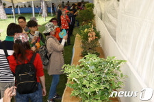 속리산 들꽃사랑회 “국립공원 야생화 구경오세요”