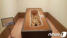 군산대박물관, 2300년 전 청동기시대 무덤 일반에 공개