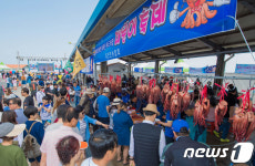 고성 대문어 축제 ‘북새통’