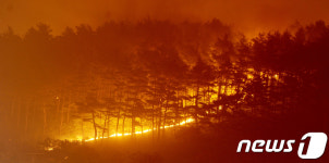산등성이로 옮겨 붙은 산불