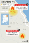 [그래픽뉴스]강릉·삼척 산불 확산