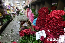 5월 꽃시장 한산한 분위기