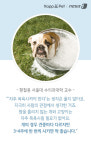 [펫카드] 반려견, 얼마나 자주 씻겨야 할까