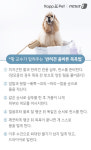 [펫카드] 반려견, 얼마나 자주 씻겨야 할까