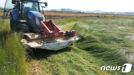 고흥군 사료작물 본격 수확…축산농가 부담 완화