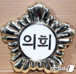 지지해 달라…동료의원에 돈 준 구의원 집행유예