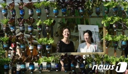 도시농업, 어렵지 않아요