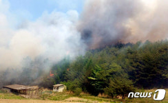 봉화 산불 강풍 타고 계속 번져…주민 360여명 대피(상보)