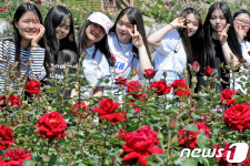 장미보다 예쁘죠?