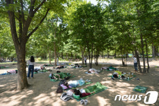 숲속에서 즐기는 낮잠