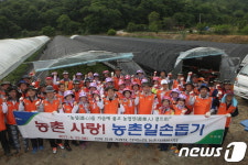 전북도· 유관기관 기관장들, 완주서 감자수확 봉사활동