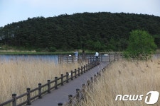 숲은 위로와 치유를 준다…휴양림 숲길 걸어 볼까