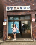 [점례야 놀자!]반려견과 함께 즐기는 제주 볼거리·구경거리