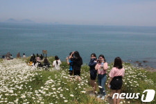 바다와 맞닿은 부안 변산마실길 하얀꽃 세상