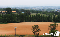 천안 숙원사업 성환종축장 이전, 본격화 전망
