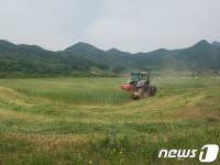 진안 동계 사료작물 수확 시작…3500톤 예상