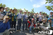 [포토]전남도의회 사무처 직원들 보성서 일손돕기