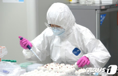 유정란 이용 AI 바이러스 배양실험