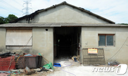 적막한 AI 발생한 토종닭 농가