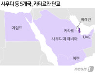 '일대일로에 불똥 튈라' 중국도 카타르 사태 예의주시