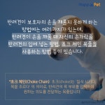 [올어바웃펫]강아지가 자꾸 깨물어요