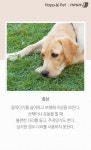 [펫카드] 절뚝절뚝…우리 개 괴롭히는 관절질환들